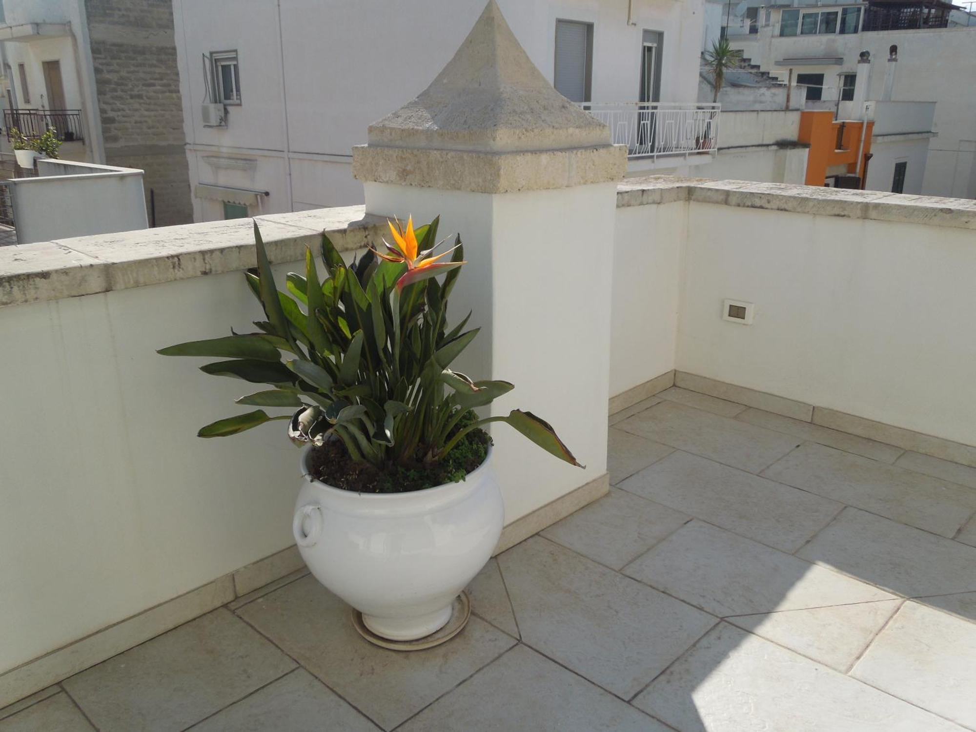 Dimora Girolamo Bed and Breakfast Polignano a Mare Buitenkant foto
